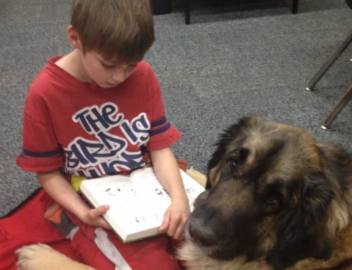 Does Your Dog Have What It Takes? Therapy Dogs in Kansas City