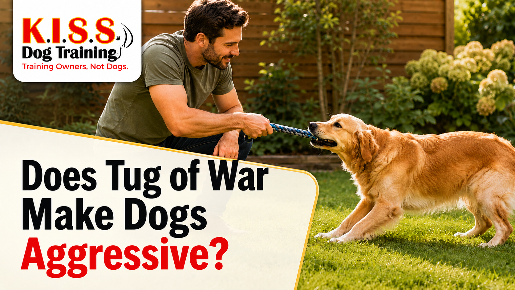 Dog Playing Tug the Right Way