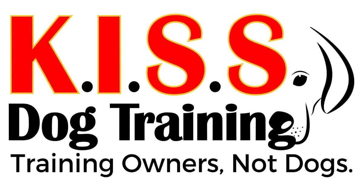 How To Deal With A Dog Who Constantly Jumps; Tips From a Dog Behavior Specialist in Kansas City | K.I.S.S. Dog Training