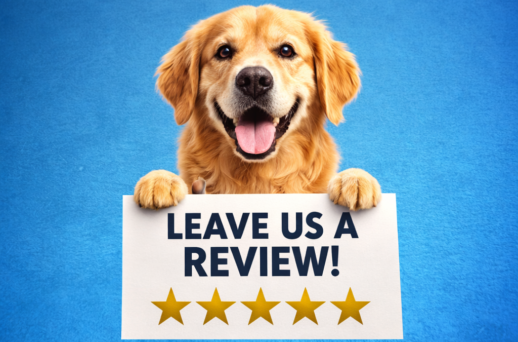 Kiss Dog Training Kansas City