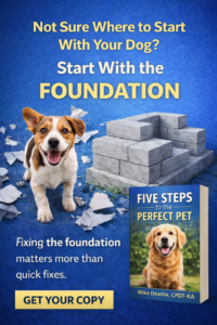 Kiss Dog Training Kansas City