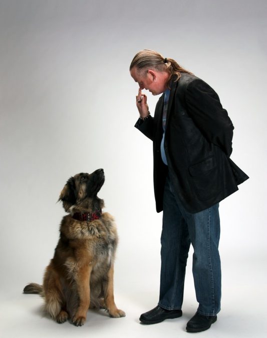 Watch Me Kiss Dog Training