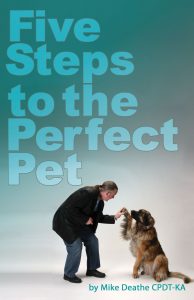 5 Steps to the Perfect Pet