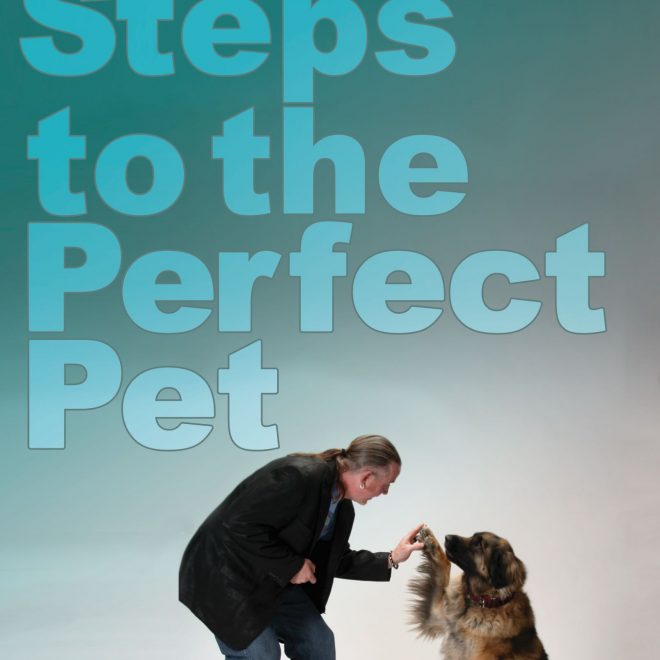 5 Steps to the Perfect Pet