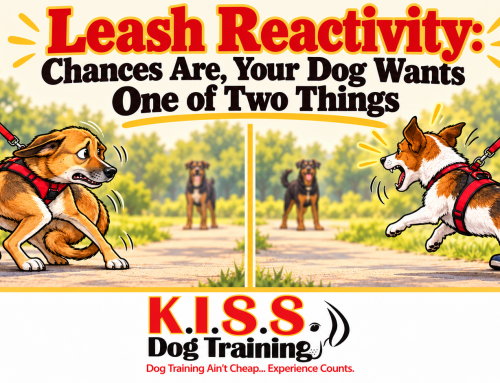 Leash Reactivity: Chances Are, Your Dog Wants One of Two Things