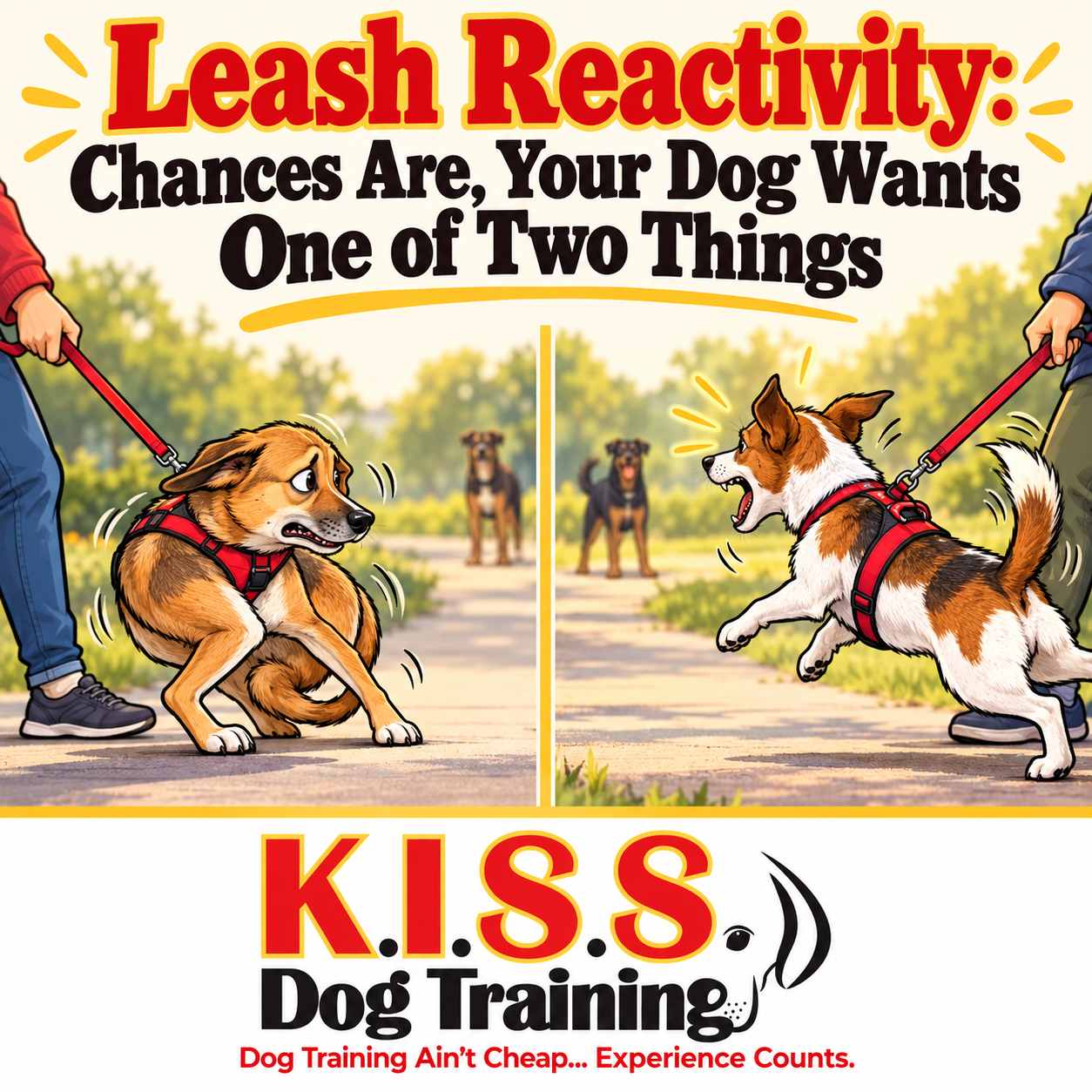 Two dogs reacting on leash: one fearful and trying to move away, the other excited and pulling toward another dog.