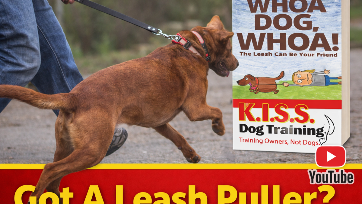 KISS Dog Training - Shawnee, KS