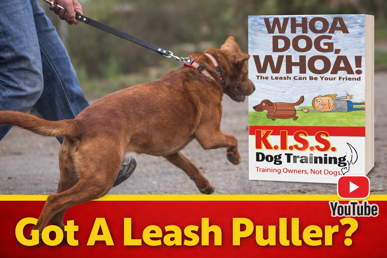 KISS Dog Training - Shawnee, KS