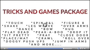 Tricks and Games Package Video