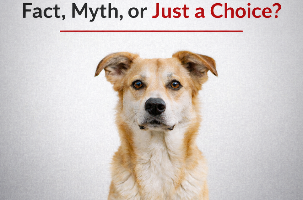 Kiss Dog Training Kansas City