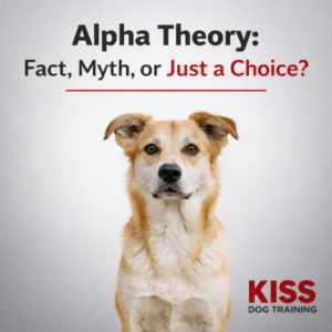 Kiss Dog Training Kansas City