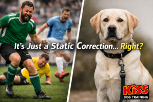 Kiss Dog Training Kansas City