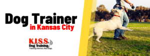 Dog Training in Kansas City