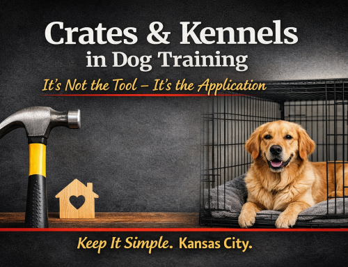 Crates and Kennels in Dog Training — It’s Not the Tool, It’s the Application | Dog Trainer Kansas City