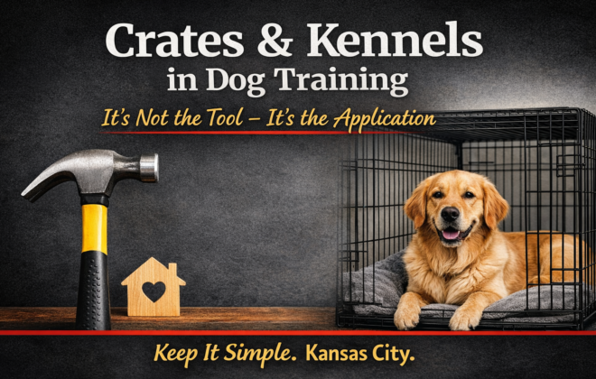 Kiss Dog Training Kansas City