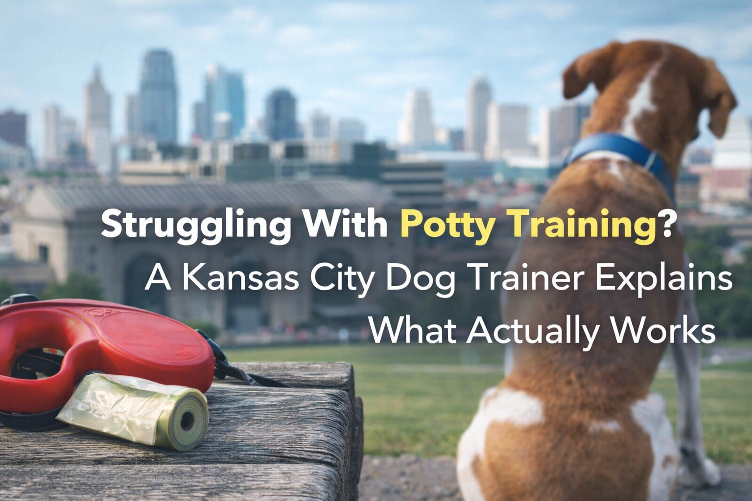 Kiss Dog Training Kansas City