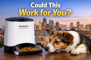 Kiss Dog Training Kansas City