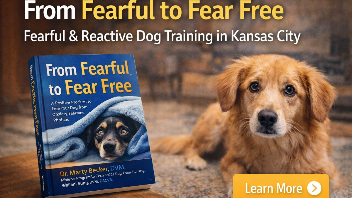 Kiss Dog Training Kansas City