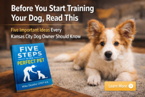 Kiss Dog Training Kansas City