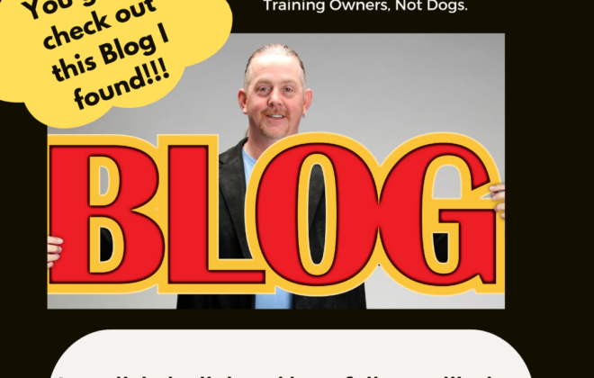 Kiss Dog Training Blog Share