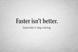 Kiss Dog Training Shawnee Kansas