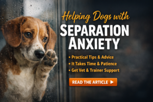 Kiss Dog Training Shawnee Kansas 