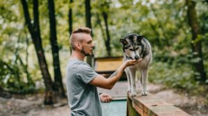 Dog Behavior Specialist in Kansas City