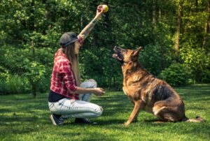 Dog Behavior Specialist in Kansas City