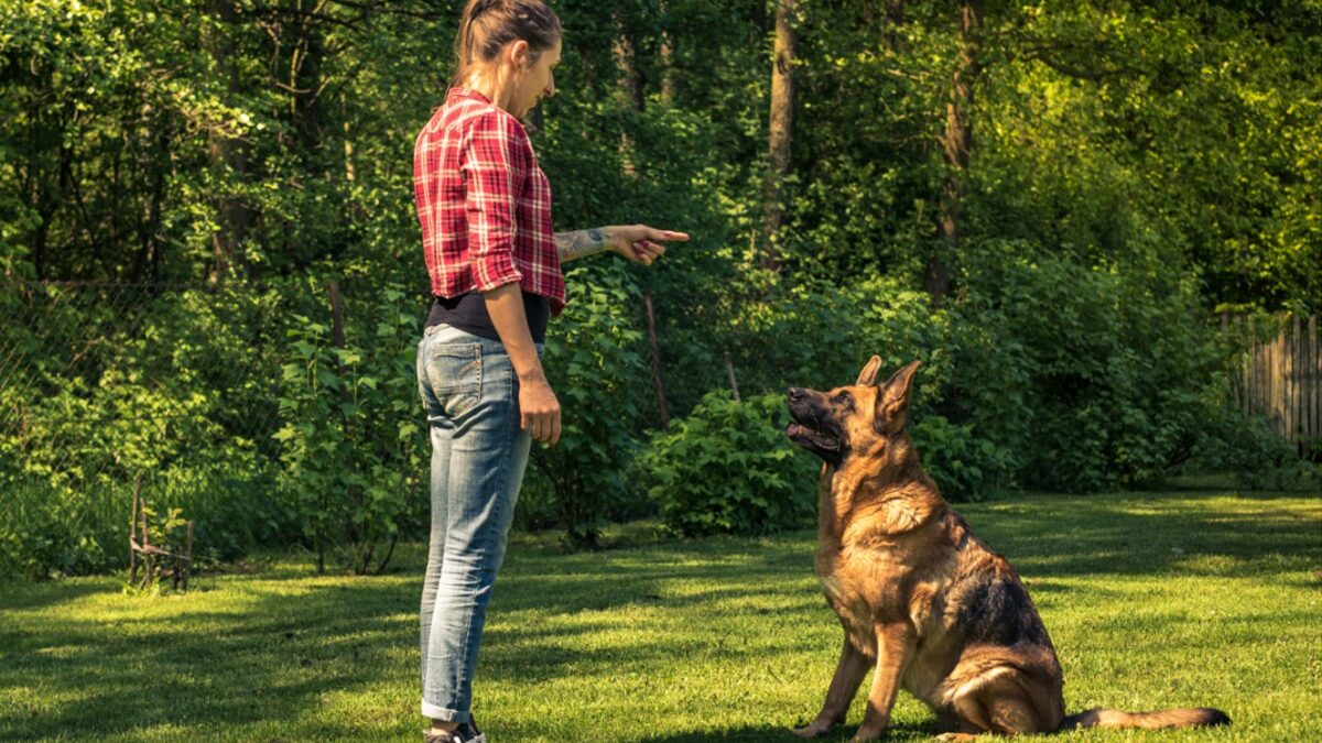 Dog Behavior Specialist in Kansas City