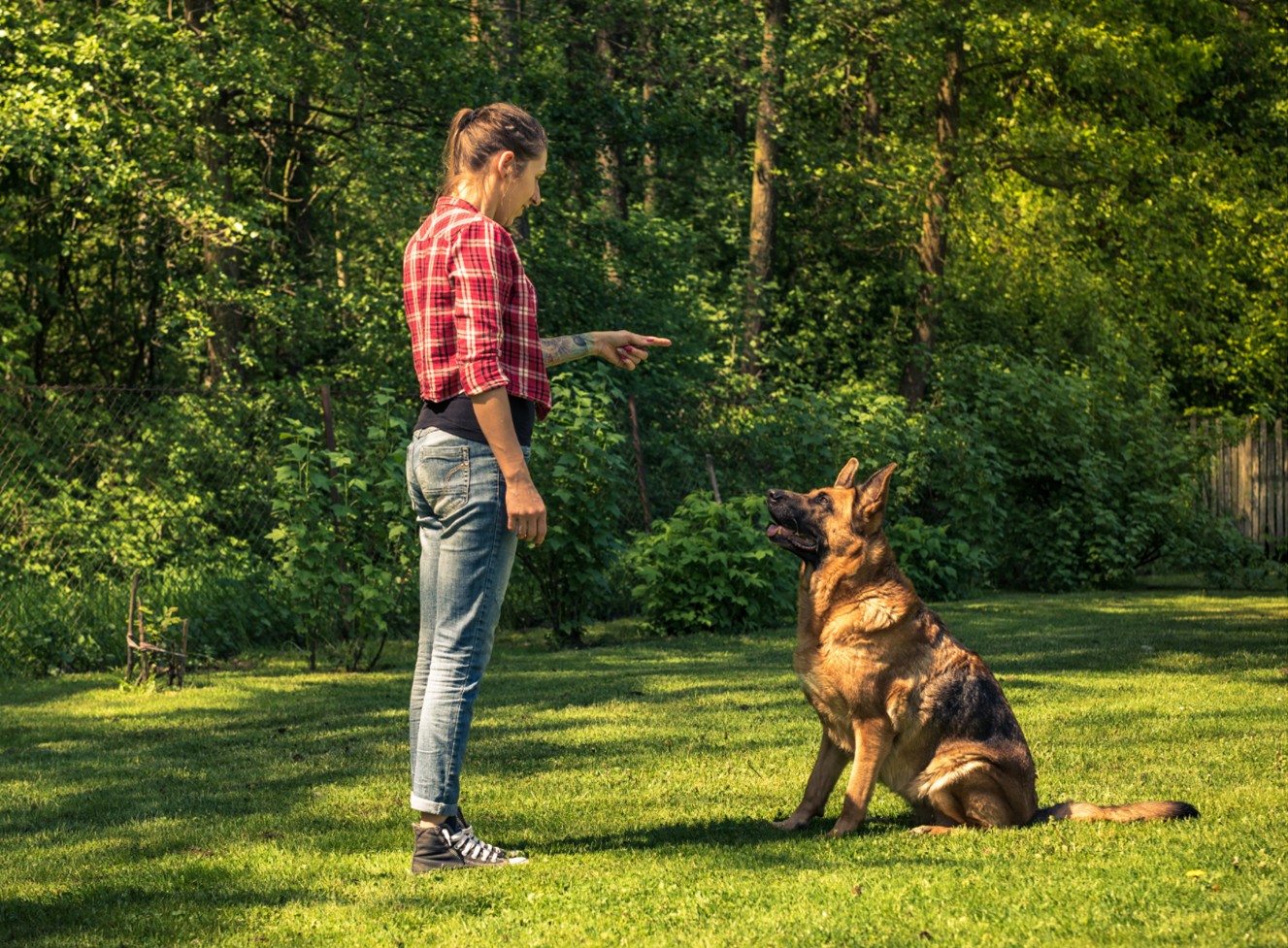 Dog Behavior Specialist in Kansas City