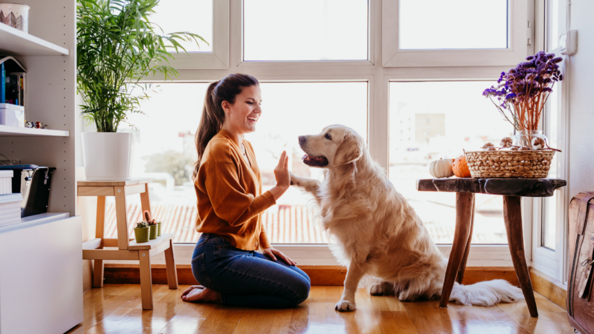 Shawnee Dog Behavior Specialist