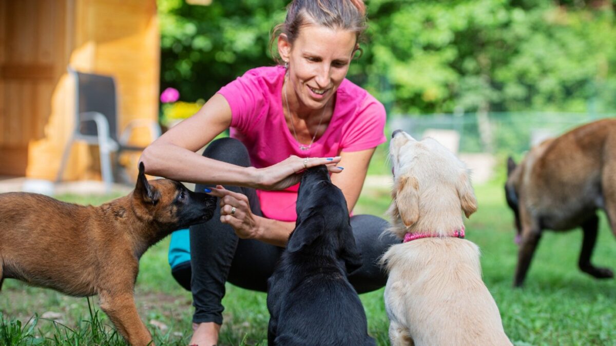 Puppy Training in Kansas City