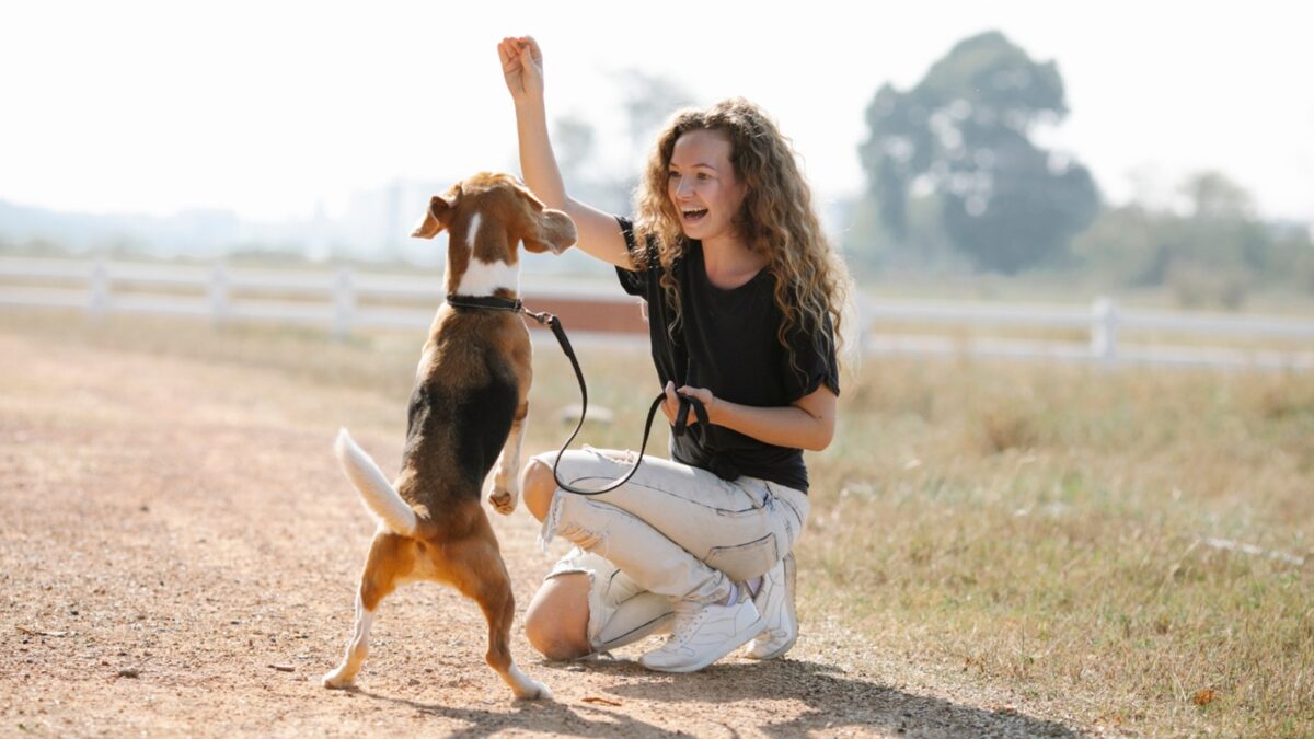 Kansas City Dog Training