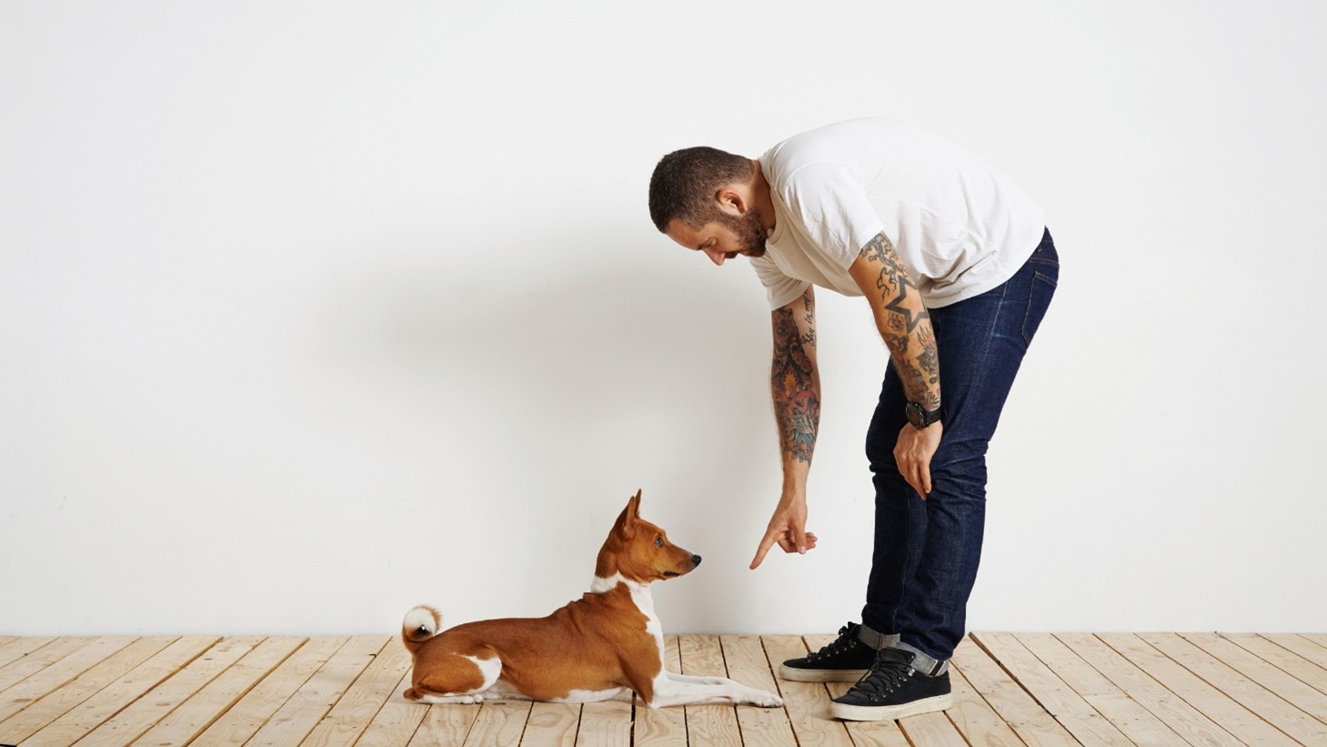 Kansas City Dog Training