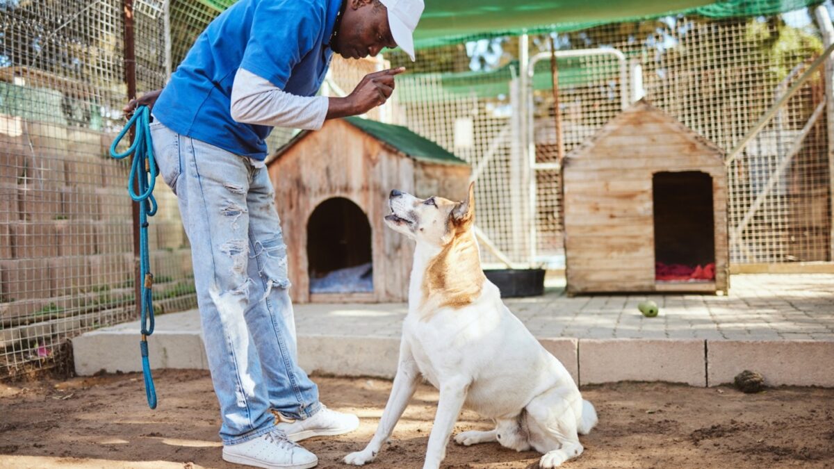 Kansas City Dog Trainer