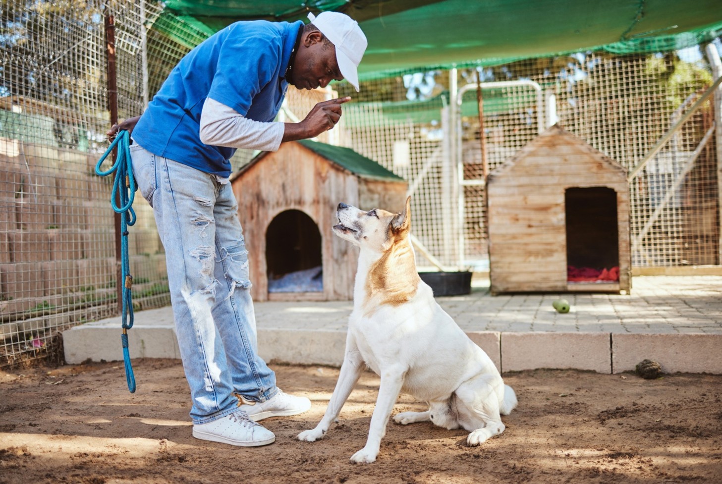 Kansas City Dog Trainer