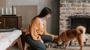 dog training in Kansas City 