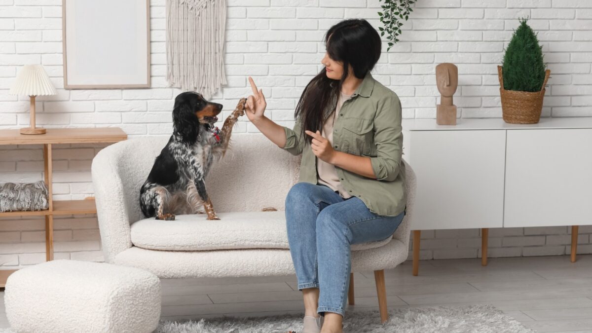 In Home Dog Training in Kansas City