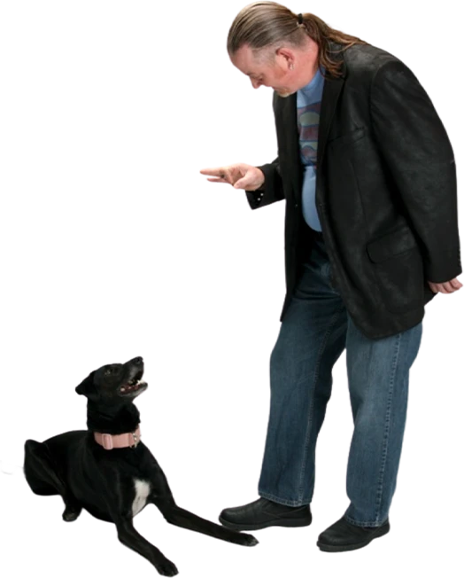Why-Choose-K.I.S.S.-Dog-Training-