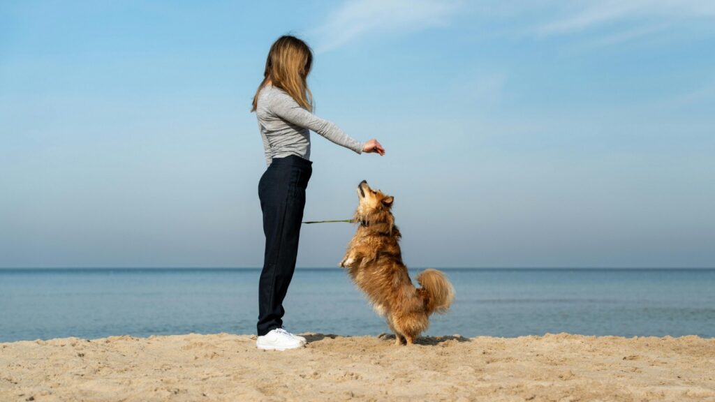 Dog Behavior Specialist in Kansas City